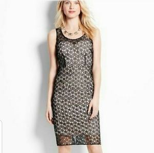 Ann Taylor Lace Overlay Dress